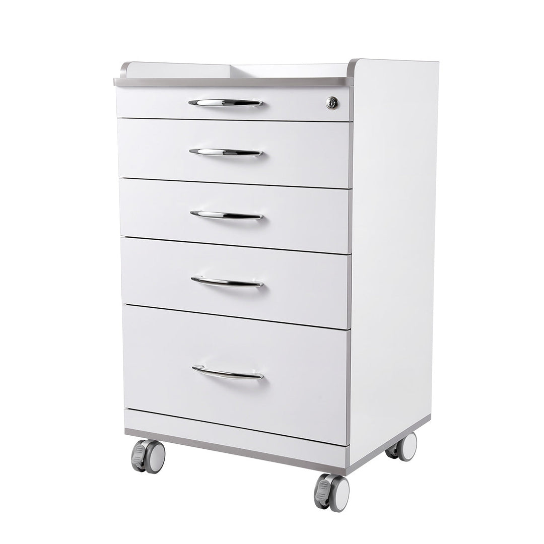 Dental NW-P4 Acrylic Mobile Cart Cabinet With Four Drawers & Two Instrument Tray