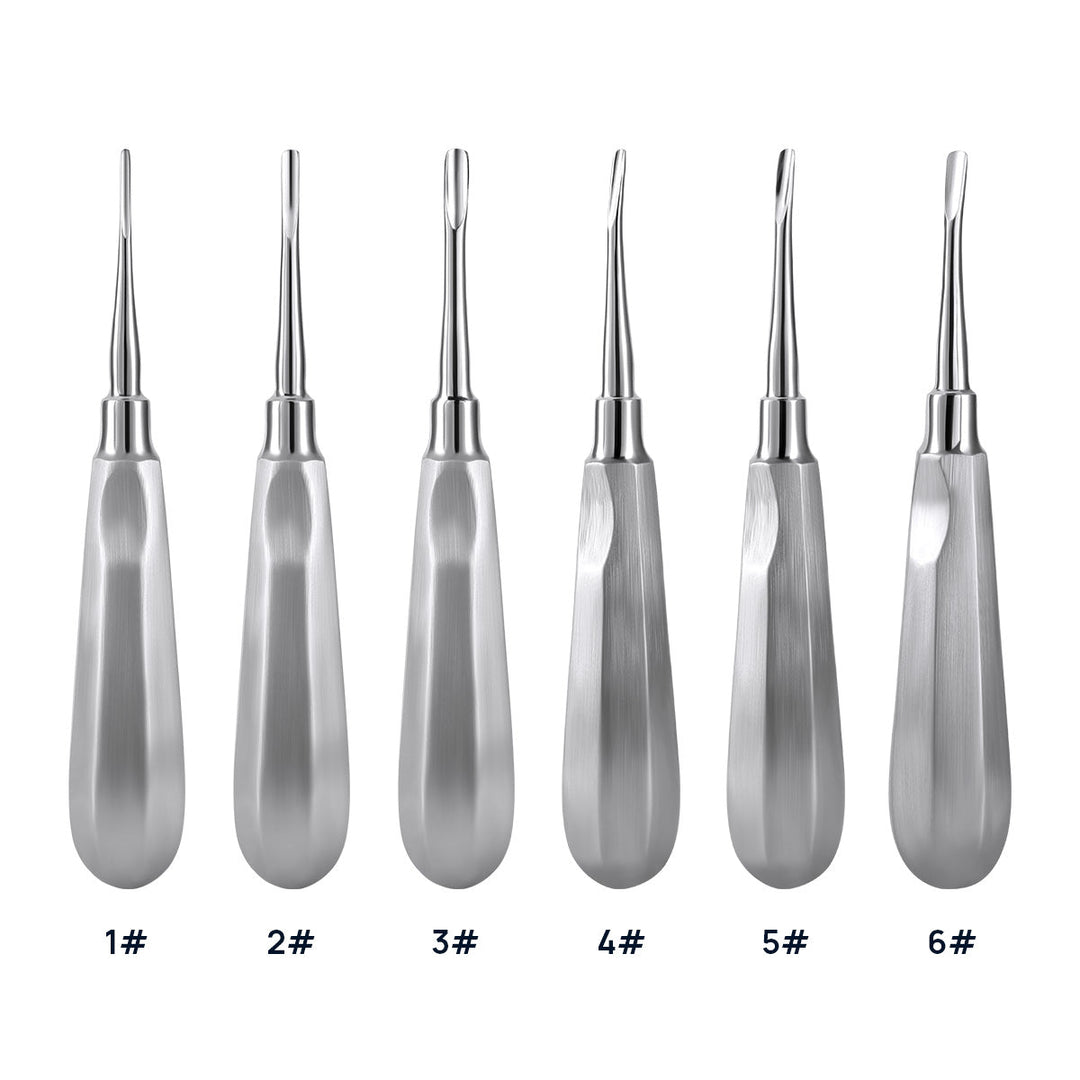 Dental Surgical Instrument Teeth Elevators Straight/Curved 6 Sizes