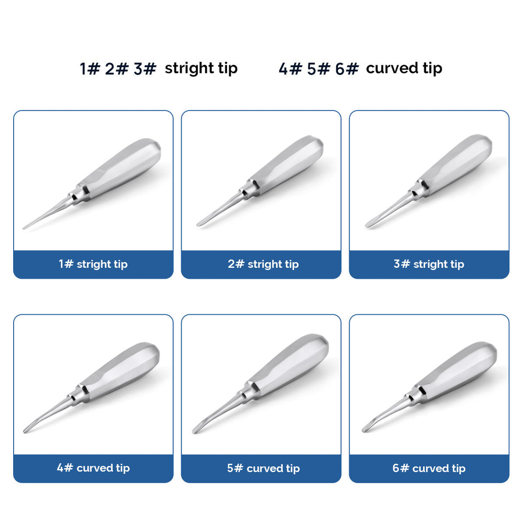 Dental Surgical Instrument Teeth Elevators Straight/Curved 6 Sizes