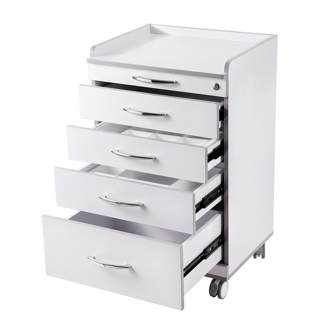 Dental NW-P4 Acrylic Mobile Cart Cabinet With Four Drawers & Two Instrument Tray