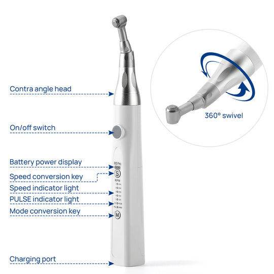 Dental Cordless Hygiene Prophy Handpieces 5 Speed Settings 360 Rotating