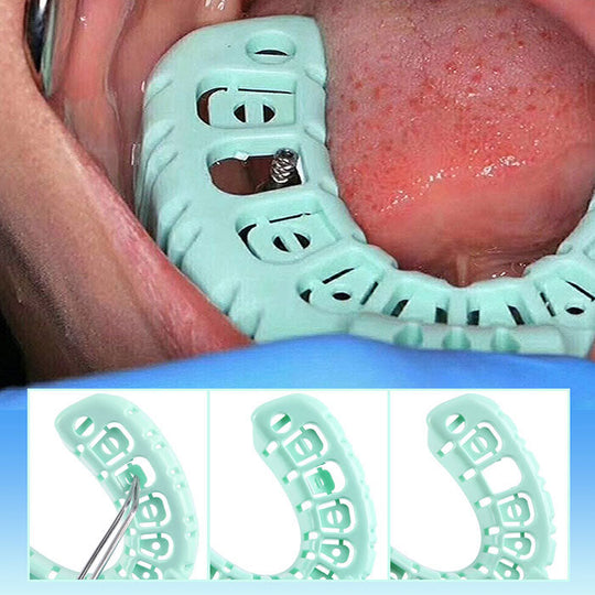 Dental Impression Trays Full Mouth for Teeth Mold Tray S M L Green 6pcs/Set