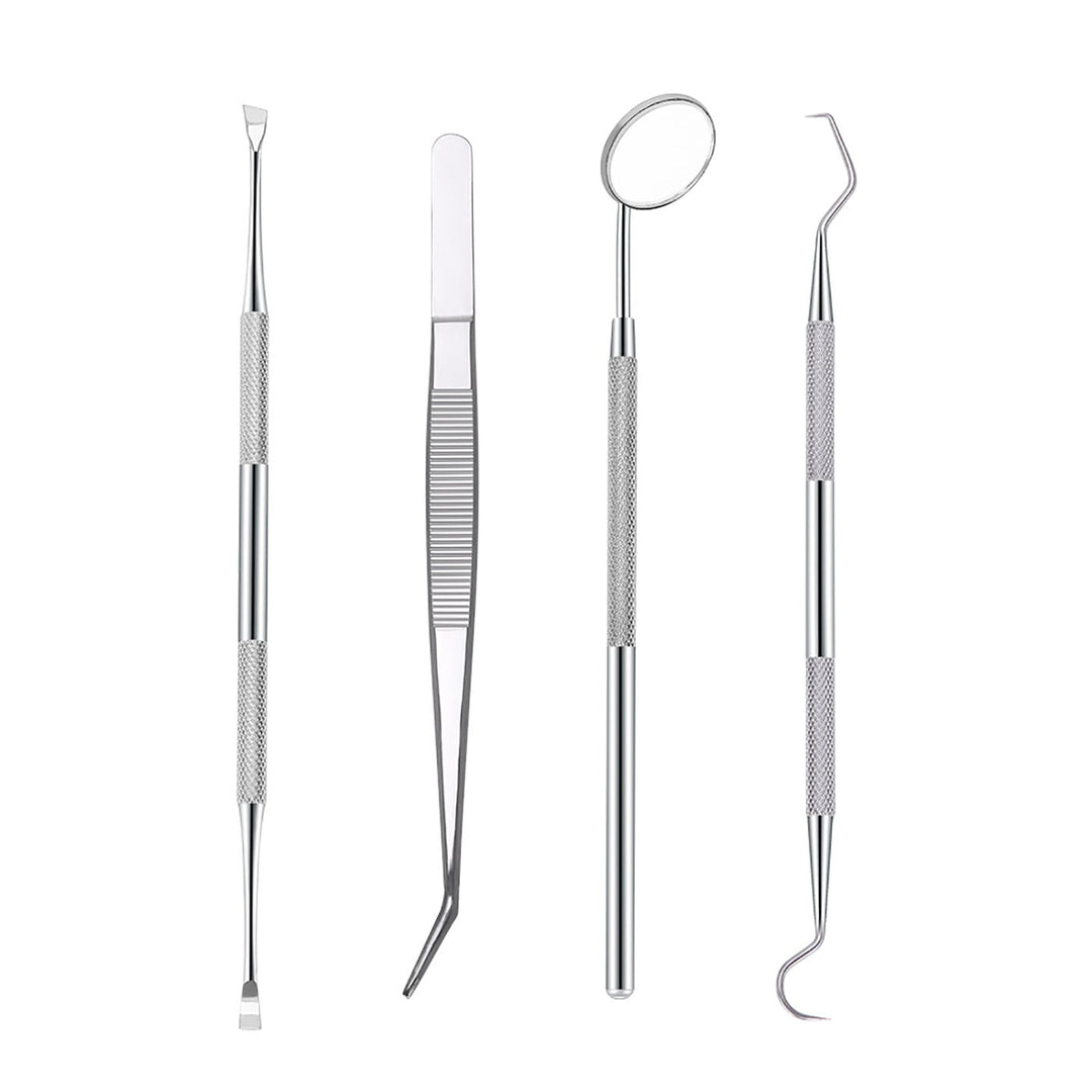 Dental Tools Teeth Cleaning Kit 4pcs/Set