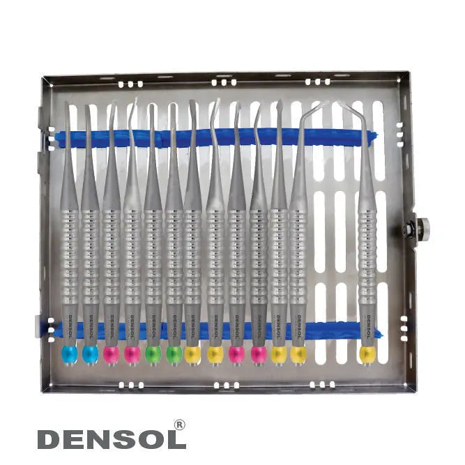 Approximal Elevators Set of 13 dental instruments in stainless steel tray. Set includes 13 elevators with colorful tips for dental surgery. Professional-grade tools for periodontal procedures, displayed in organized case.