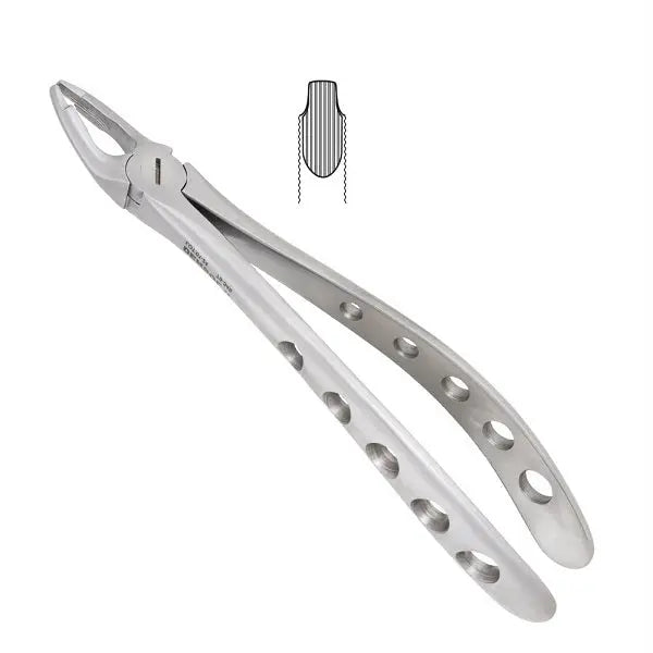 Atraumatic Extraction Forceps F1 Upper Universal Adult with tapered narrow beak, stainless steel construction, blue plasma coating, and hole-patterned handle for improved grip. Inset diagram shows forceps tip design.