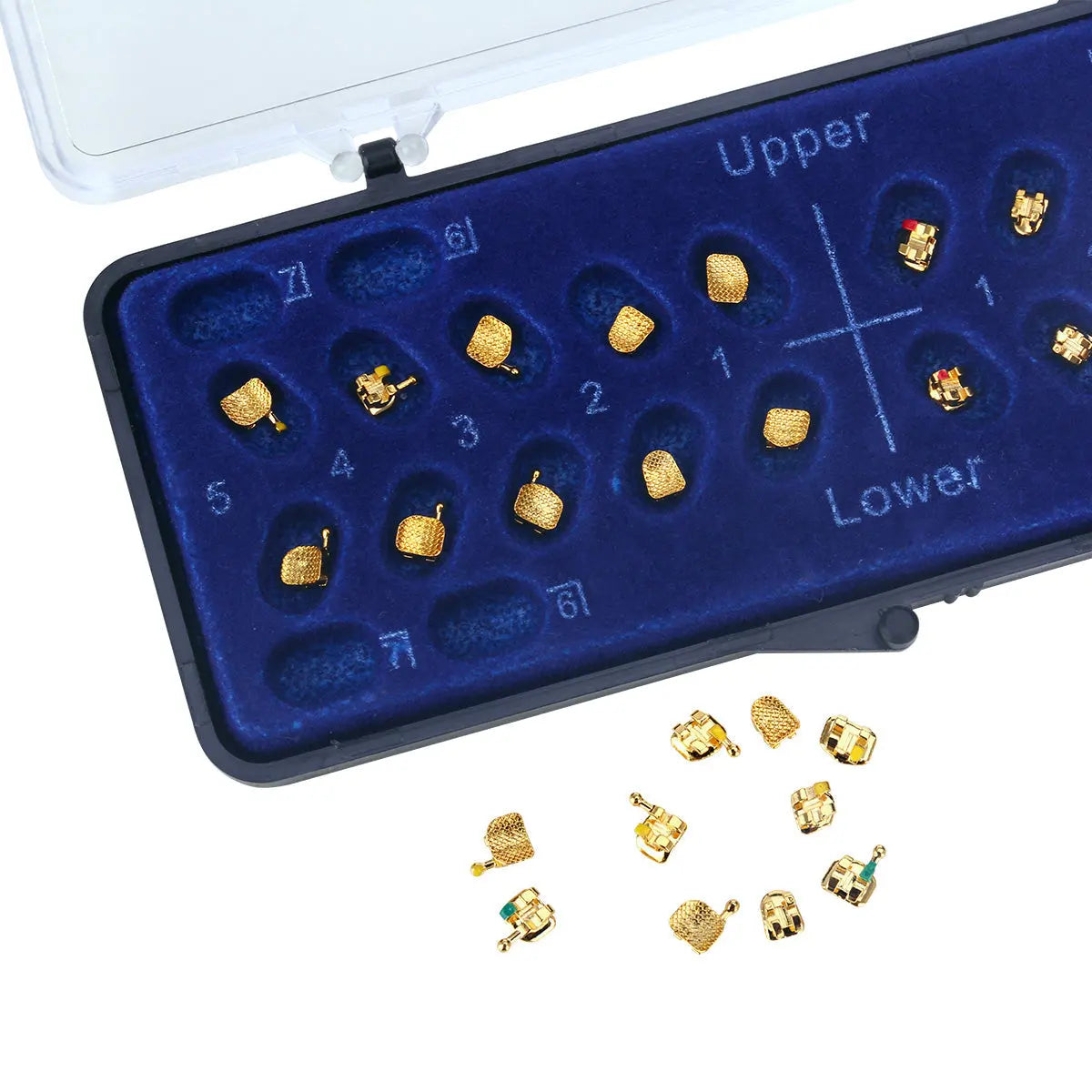 Dental Metal Brackets Mini Roth 0.022 Hooks on 345 Gold Color 20pcs/Box displayed in blue velvet case with numbered slots. Gold-colored brackets arranged in case and scattered outside. Case labeled "Upper" and "Lower" for dental positioning.