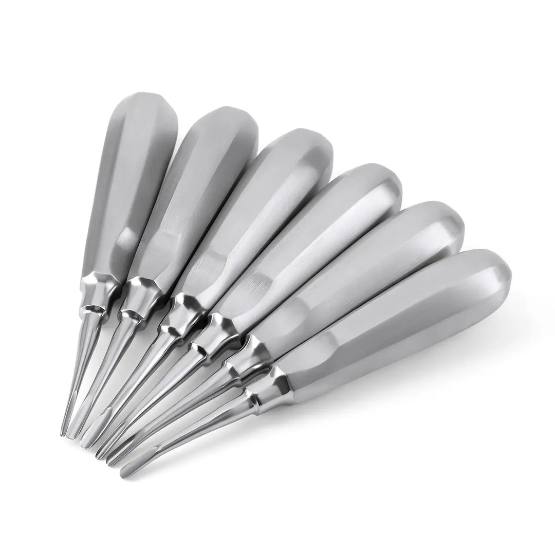 Dental Surgical Instrument Teeth Elevators Straight/Curved 6 Sizes: Set of six stainless steel dental elevators with varying sizes, featuring smooth, tapered tips and ergonomic handles for precise tooth extraction and oral surgery procedures.