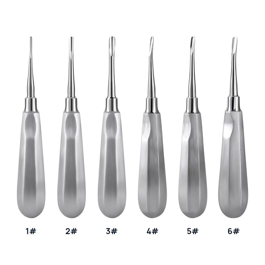 Set of six Dental Surgical Instrument Teeth Elevators Straight/Curved in 6 sizes, made of high-quality stainless steel. Three straight and three curved elevators with varying head widths, displayed in ascending order from 1# to 6#, showcasing their precision design for dental procedures.