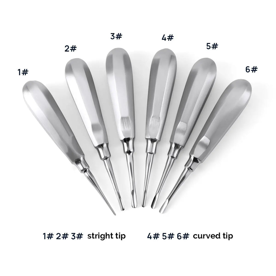 Dental Surgical Instrument Teeth Elevators Straight/Curved 6 Sizes: Set of six stainless steel dental elevators arranged in a fan pattern, showcasing straight tips (1#-3#) and curved tips (4#-6#) with varying widths, labeled for easy identification.