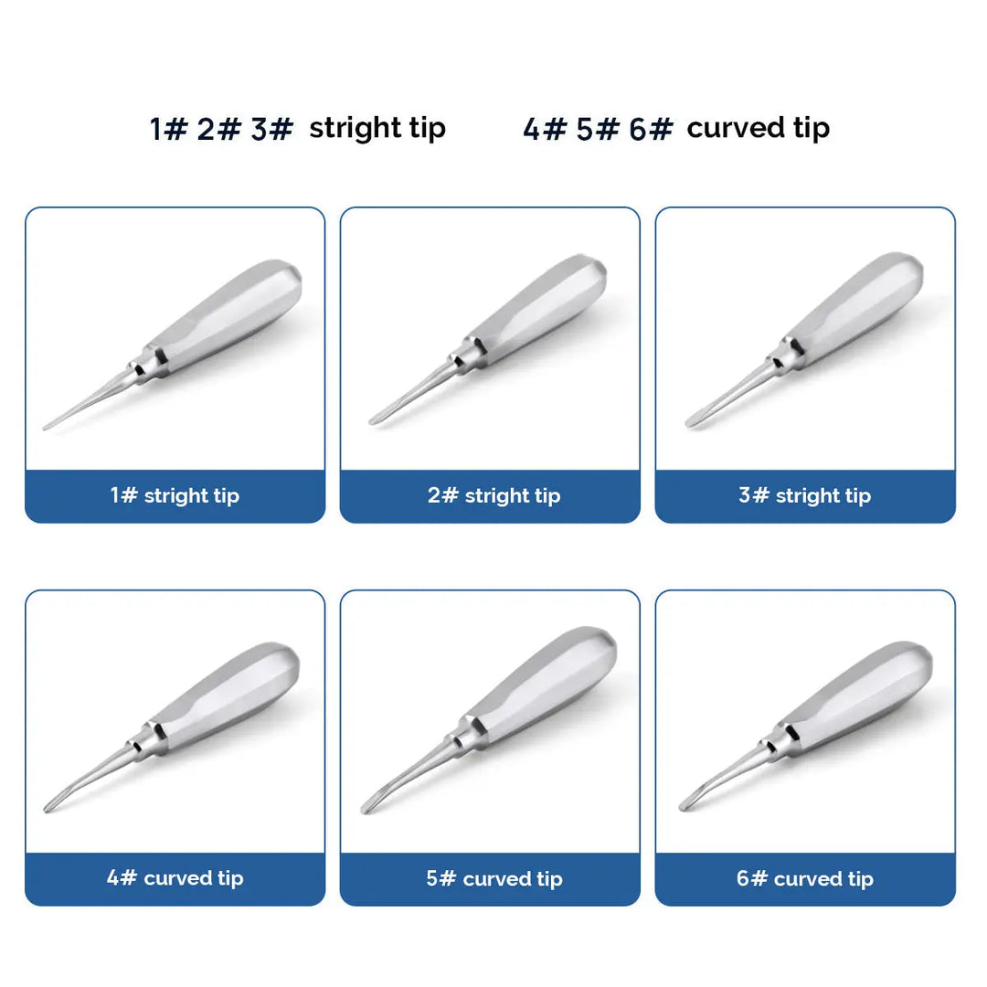 Dental Surgical Instrument Teeth Elevators Straight/Curved 6 Sizes: Set of six stainless steel dental elevators with straight tips (sizes 1-3) and curved tips (sizes 4-6), displayed in individual squares with labeled sizes and tip types