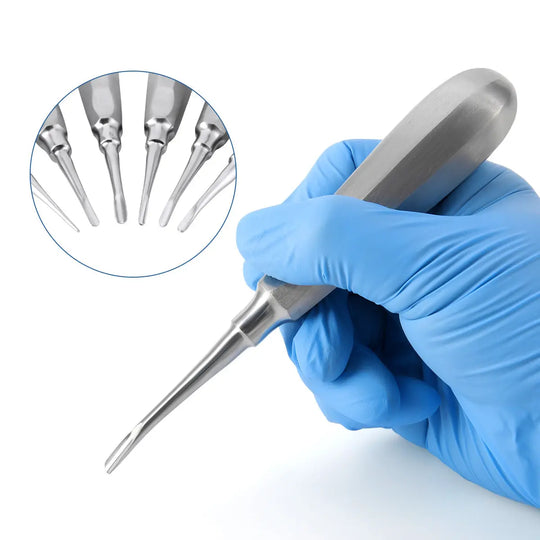 Dental Surgical Instrument Teeth Elevators Straight/Curved 6 Sizes: Stainless steel dental elevator held by gloved hand, with inset image showing various sizes of straight and curved elevators for tooth extraction procedures