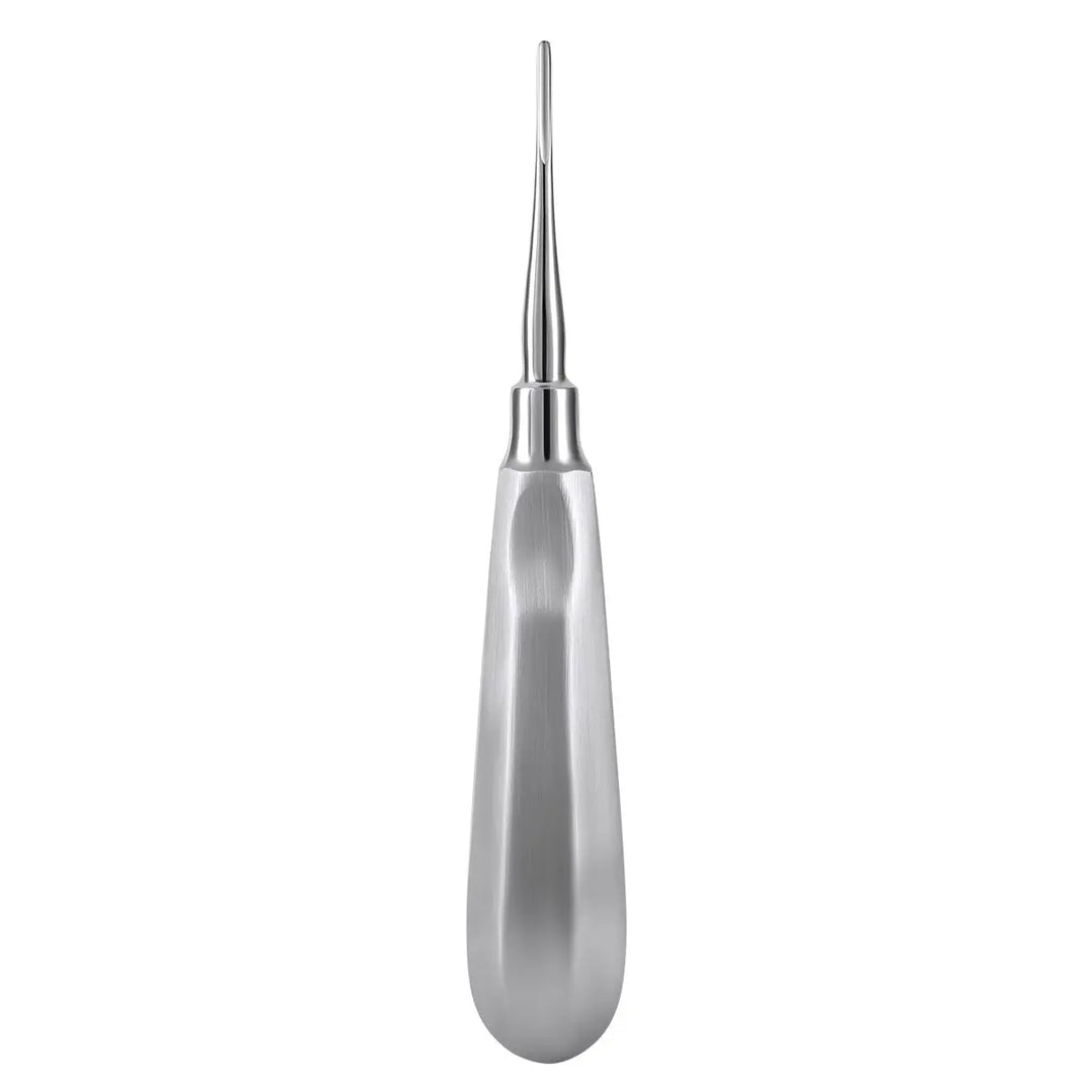 Dental Surgical Instrument Teeth Elevators Straight/Curved 6 Sizes: Stainless steel dental elevator with sleek, ergonomic handle and precise tip for tooth extraction. Professional-grade tool showcasing quality craftsmanship and durability for dental procedures.