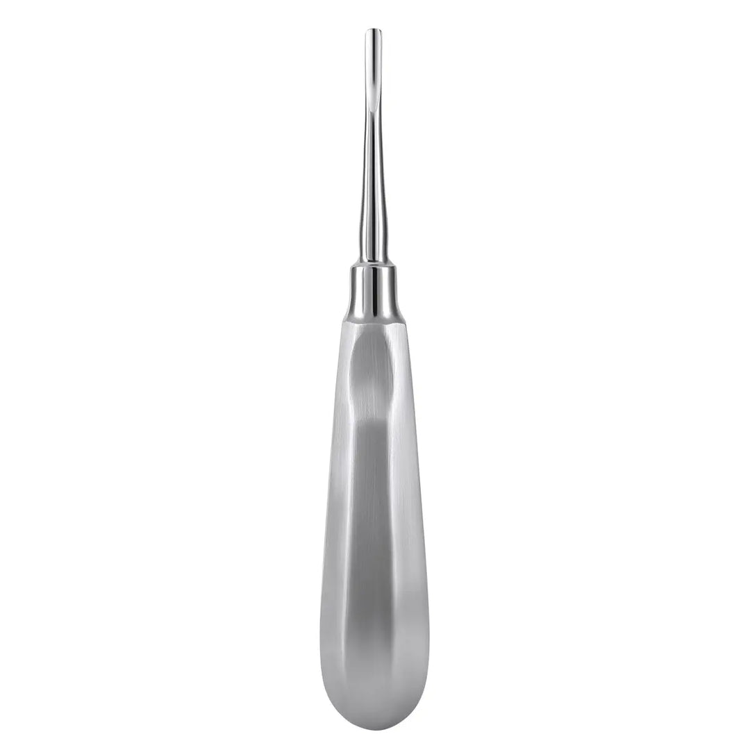 Dental Surgical Instrument Teeth Elevators Straight/Curved 6 Sizes: Close-up of a single stainless steel dental elevator with a sleek, ergonomic handle and a narrow, tapered tip for precise tooth extraction and surgical procedures.