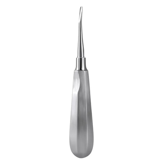 Dental Surgical Instrument Teeth Elevators Straight/Curved 6 Sizes: Close-up of a single stainless steel dental elevator with a sleek, curved handle and narrow, tapered tip for precise tooth extraction and oral surgery procedures.