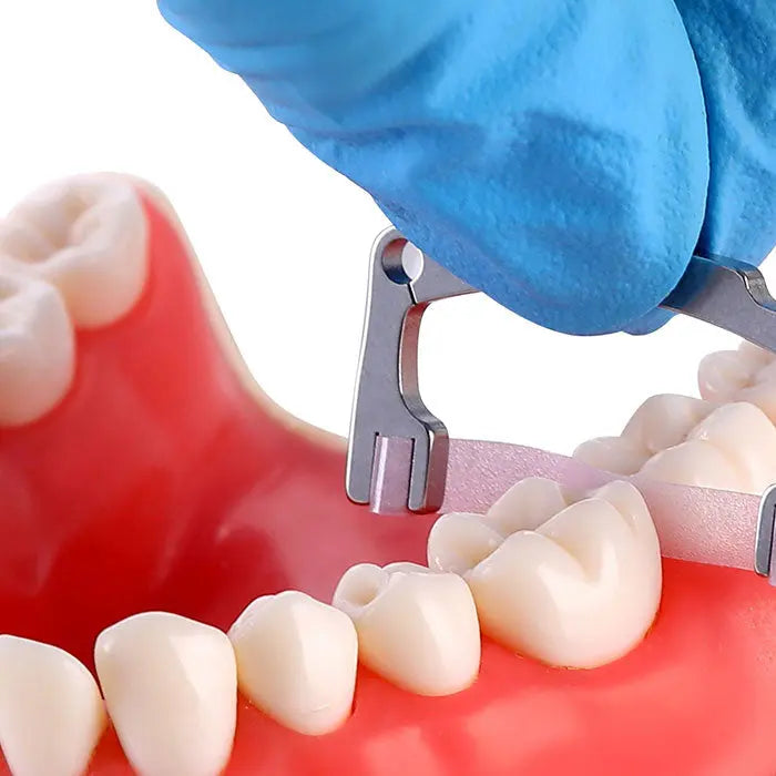 Dental Polishing Strip And Dental Resin Polishing Strip Holder in use on model teeth. Gloved hand holding metal strip holder with pink polishing strip between teeth, demonstrating interproximal polishing technique on realistic dental model.