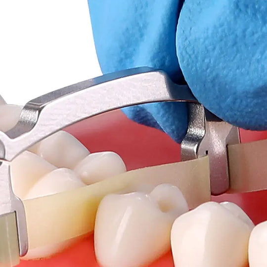 Dental Polishing Strip And Dental Resin Polishing Strip Holder in use on model teeth, showing metal holder gripping blue polishing strip between teeth for precise interproximal resin restoration polishing and smoothing