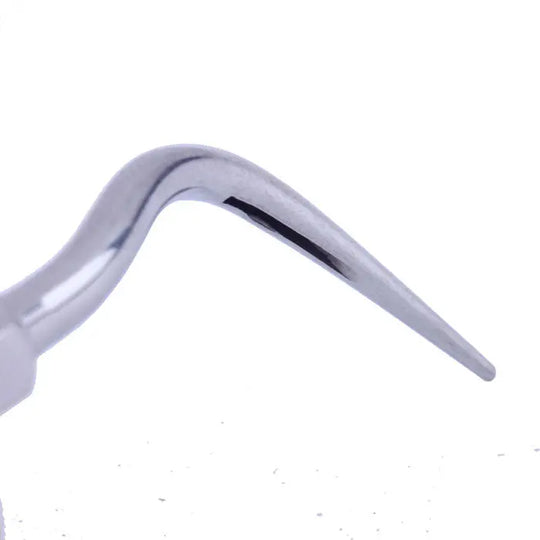 Dental Ultrasonic Air Scaler Scaling Handpiece Tips GK6: Close-up of a curved, stainless steel dental tool with a fine, tapered tip for precise scaling and calculus removal, compatible with Kavo SONICflex air scaler handpieces.