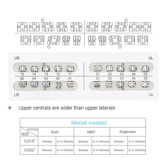 Dental Metal Brackets Mini Edgewise Slot .022 Hooks on 3 20pcs/Pack diagram showing bracket arrangement, sizing chart, and tooth numbering system for orthodontic application, with emphasis on wider upper central brackets compared to laterals