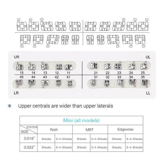 Dental Metal Brackets Mini Edgewise Slot .022 Hooks on 345 20pcs/Pack diagram showing bracket positioning chart, tooth numbering system, and size comparison table for mini brackets in Roth, MBT, and Edgewise systems