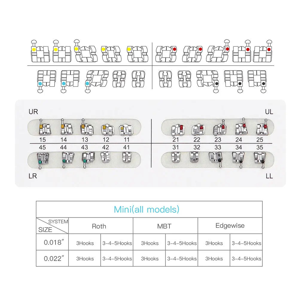 Dental Mini Metal Brackets For Braces Full Size 20pcs/Pack: Diagram showing bracket placement, color-coded quadrants, and size chart for mini orthodontic brackets. Includes upper and lower jaw illustrations with numbered positions and a table comparing Roth, MBT, and Edgewise systems.