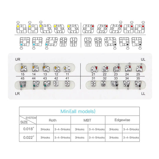 Dental Mini Metal Brackets For Braces Full Size 20pcs/Pack: Diagram showing bracket placement, color-coded quadrants, and size chart for mini orthodontic brackets. Includes upper and lower jaw illustrations with numbered positions and a table comparing Roth, MBT, and Edgewise systems.