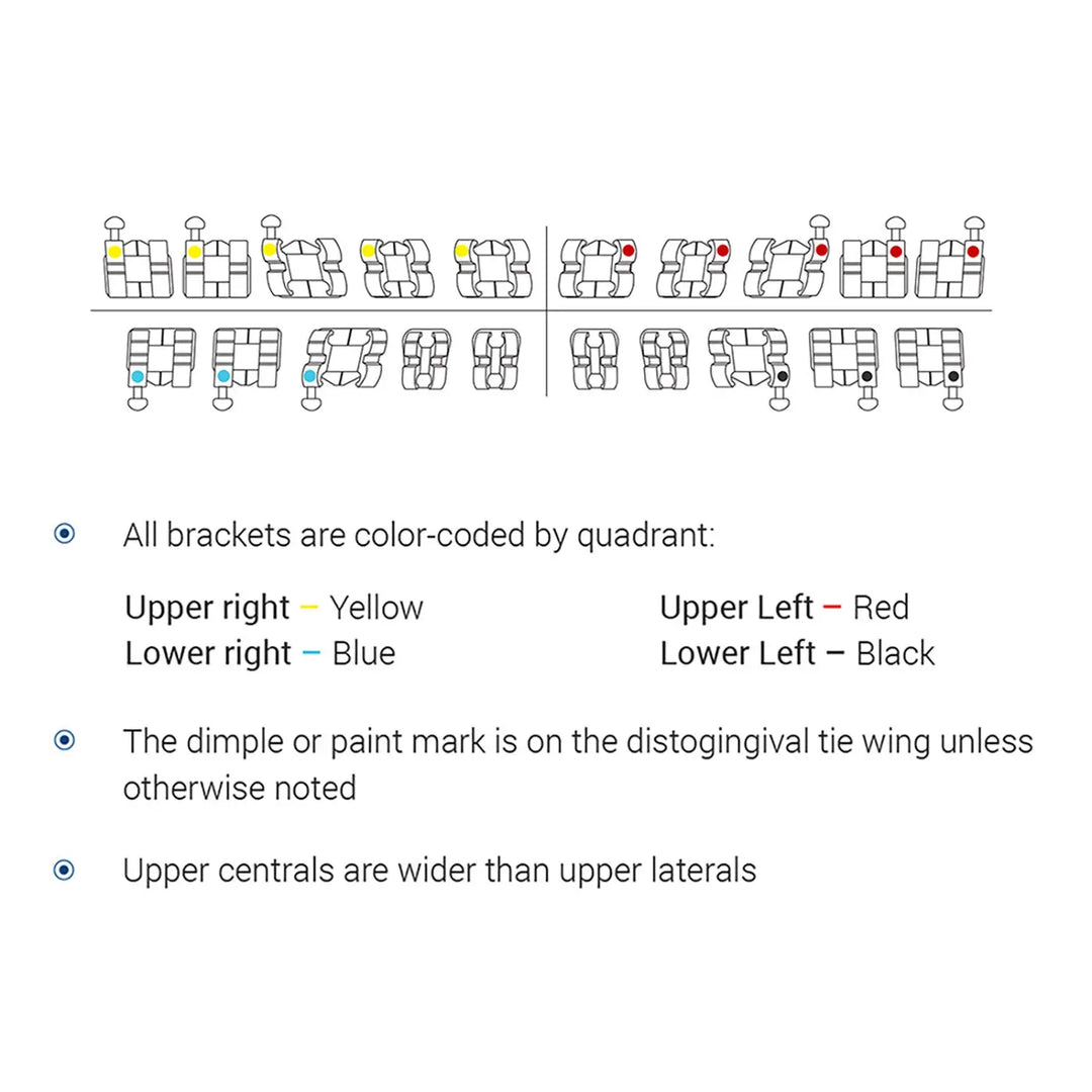 Dental Metal Brackets Mini Roth Slot .022 Hooks on 345 20pcs/Pack: Diagram showing color-coded orthodontic bracket placement guide for upper and lower teeth, with quadrant-specific colors and notes on bracket features and positioning.