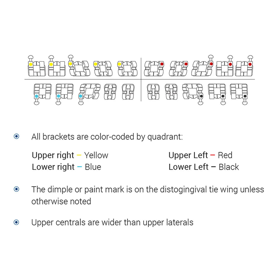 Dental Metal Brackets Mini Roth Slot .018 Hooks on 345 20pcs/Pack: Diagram showing color-coded bracket placement by quadrant, dimple location on distogingival tie wing, and wider upper centrals for orthodontic teeth alignment