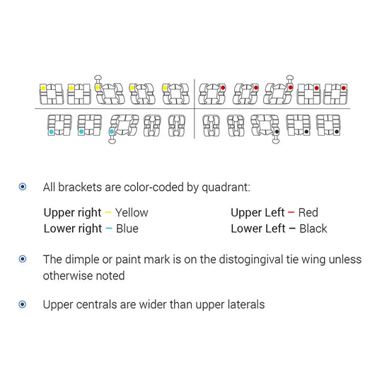 Dental Metal Brackets Standard Roth Slot .018 Hooks on 3 20pcs/Pk: Color-coded bracket diagram showing quadrant colors, dimple placement, and size variations for upper centrals and laterals. Illustrates orthodontic bracket positioning and features for precise dental alignment.