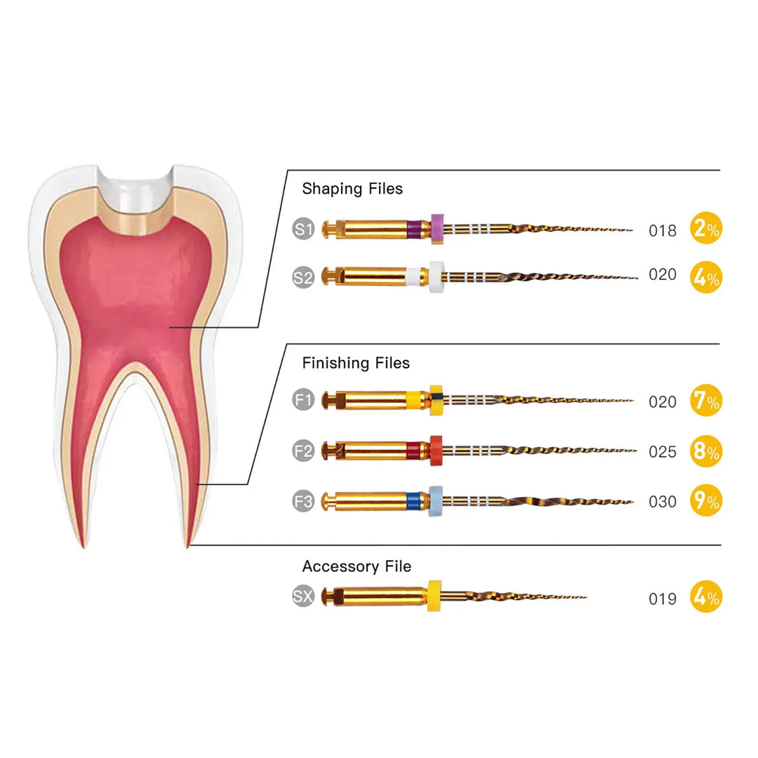 Dental NiTi Rotary Engine Files 25mm Assorted SX-F3 Gold 6pcs/Pk: Diagram showing tooth cross-section with various dental files labeled as shaping, finishing, and accessory files. Illustrations depict different sizes and tapers of rotary instruments used in root canal treatments.