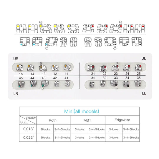 Dental Mini Metal Brackets MBT Slot .018 Hooks on 3 20pcs/Pk: Detailed diagram showing bracket configurations, sizes, and placement options for orthodontic treatment. Image includes schematic representations and metal bracket samples organized by quadrants and sizes.