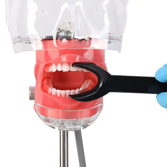 Dental T-Shape Double Head Cheek Retractors Mouth Opener demonstrated on a dental model, showcasing the product's use in holding open the mouth for dental procedures. The image displays a red plastic mouth model with white teeth and a black retractor tool in use.