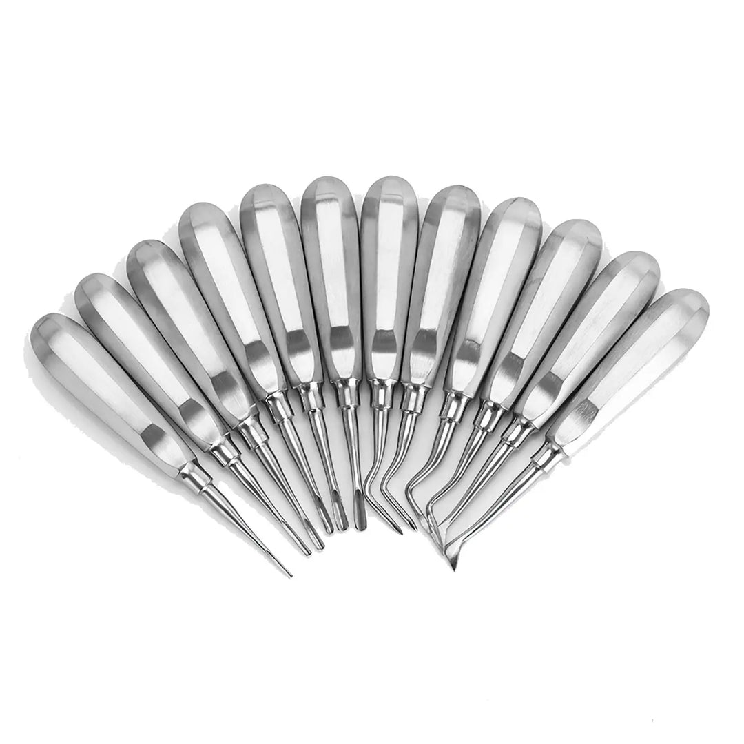 Dental Elevator Minimally Invasive Dental Tools 12pcs/pack: Set of stainless steel dental elevators arranged in a fan shape, showcasing various tip designs for precise dental procedures. Tools feature ergonomic handles and specialized working ends for efficient tooth extraction and periodontal work.