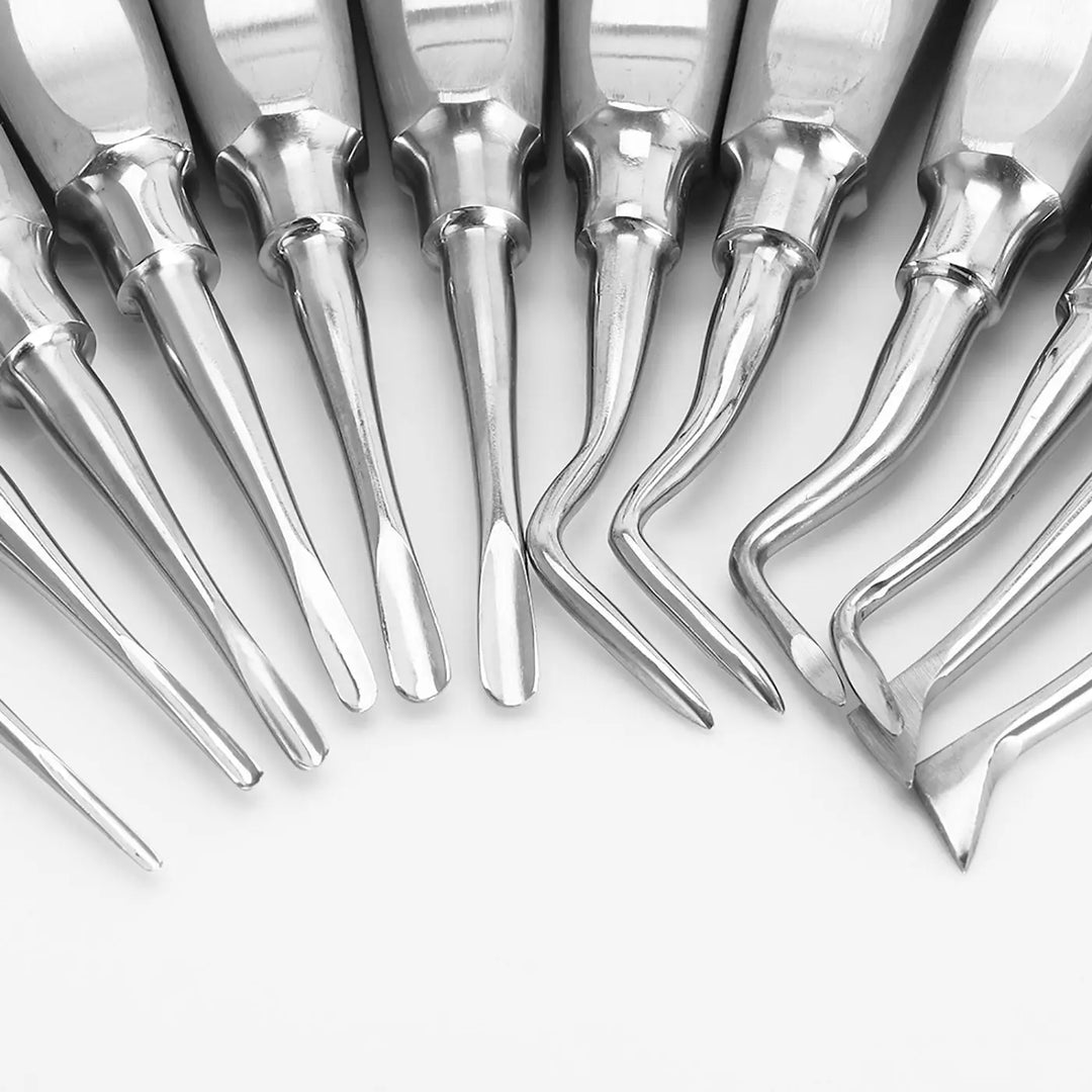 Dental Elevator Minimally Invasive Dental Tools 12pcs/pack: Close-up of stainless steel dental elevators arranged in a fan shape, showcasing various tip designs for different dental procedures. Professional-grade instruments for precise tooth extraction and periodontal work.