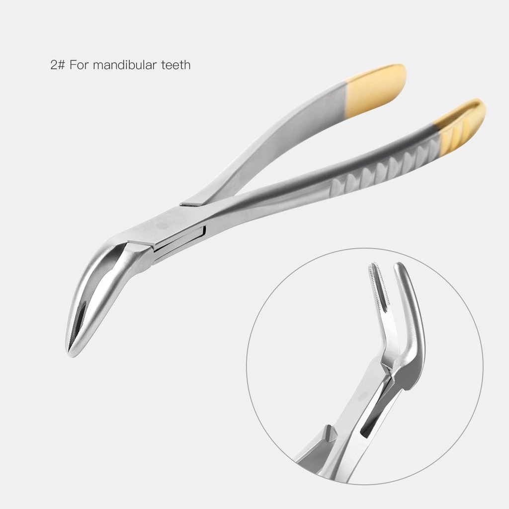 [1335000117] #2 Mandibular Teeth Root Fragment Minimally Invasive Extraction Forceps (Tooth Extraction Forceps / 1 Pc)