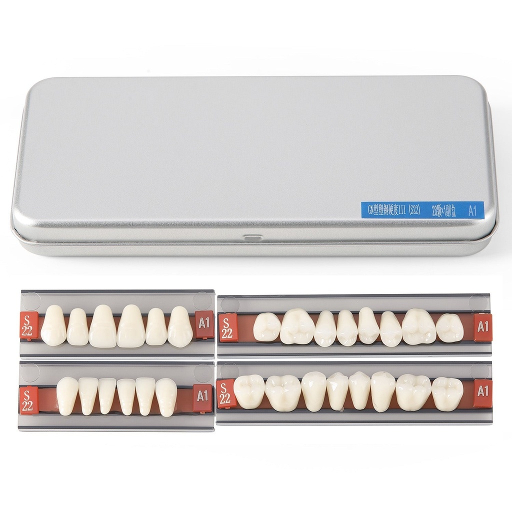 [112001021] Dental Synthetic Resin Teeth Denture A1 A2 A3 GN-III Plastic Steel Two-Layer 28 Teeth/Set (GN-III（Plastic steel tooth） / S22/S22/S22/S22 A1 / 1 Set)