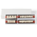 Dental Synthetic Resin Teeth Denture A1 A2 A3 Shade GL-I Two-Layer 28 Teeth/Set