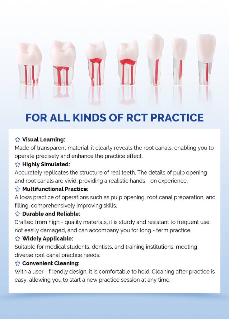 [132002072] Dental RCT Root Canal Practice Model Endo Typodont Teeth 28pcs/Set (1 Set)