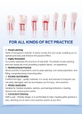 Dental RCT Root Canal Practice Model Endo Typodont Teeth 28pcs/Set