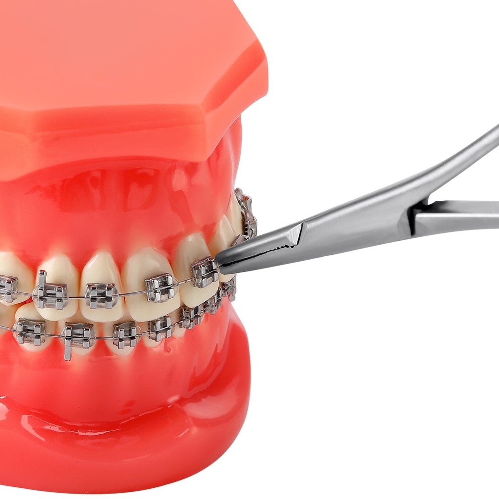 Dental Orthodontic Elastic Placement Ligature Tie Holder Stainless Steel 14cm (Ligature Tie Holder / 1 Pc)