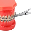 Dental Orthodontic Elastic Placement Ligature Tie Holder Stainless Steel 14cm