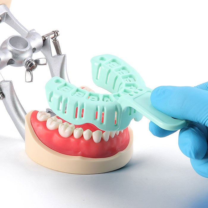 Dental Impression Trays Full Mouth for Teeth Mold Tray S M L Green 6pcs/Set