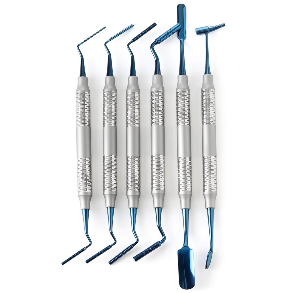 Dental Implant Bone Graft Tool Stainless Steel 6pcs/Set (1 Set)
