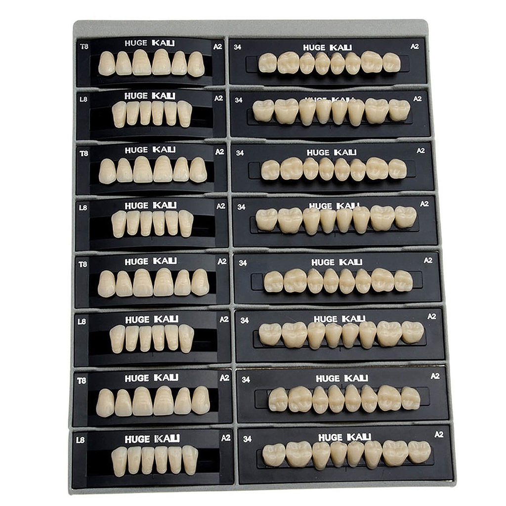 Dental Synthetic Polymer Teeth Resin Denture A1/A2/A3 28 Teeth/Set