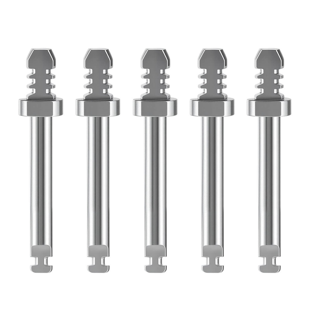 Dental Mandrel Rotary Tool for Polishing Disc RA2.35mm (10 Pcs)