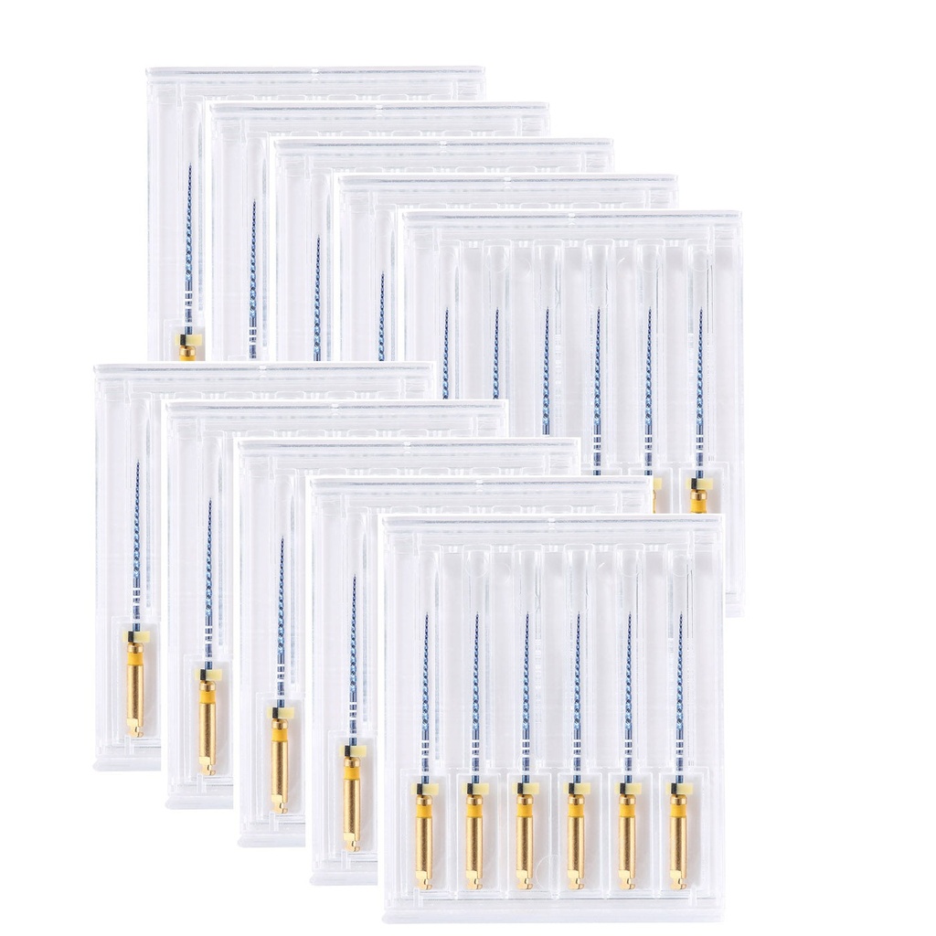 Rotary Files Nickel Titanium Alloy Engine Use 25mm #20/04 6pcs/Pack (Rotary NiTi / #20/04 25mm / 1 Pack(6 PCS))